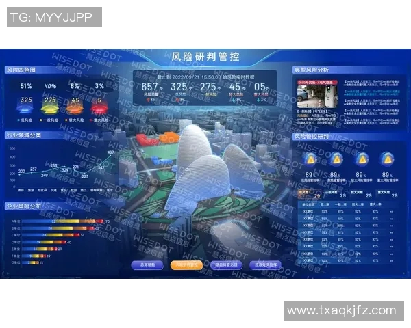 体育赛事安全问题分析与应对策略探讨：从风险评估到应急管理的全面研究