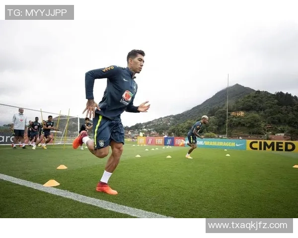 足球世界杯球队体能分布特点与恢复策略探讨分析