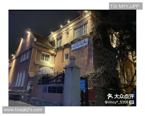 切尔西背后的故事:从少年到巨星之路 切尔西背后的故事:从少年到巨星之路